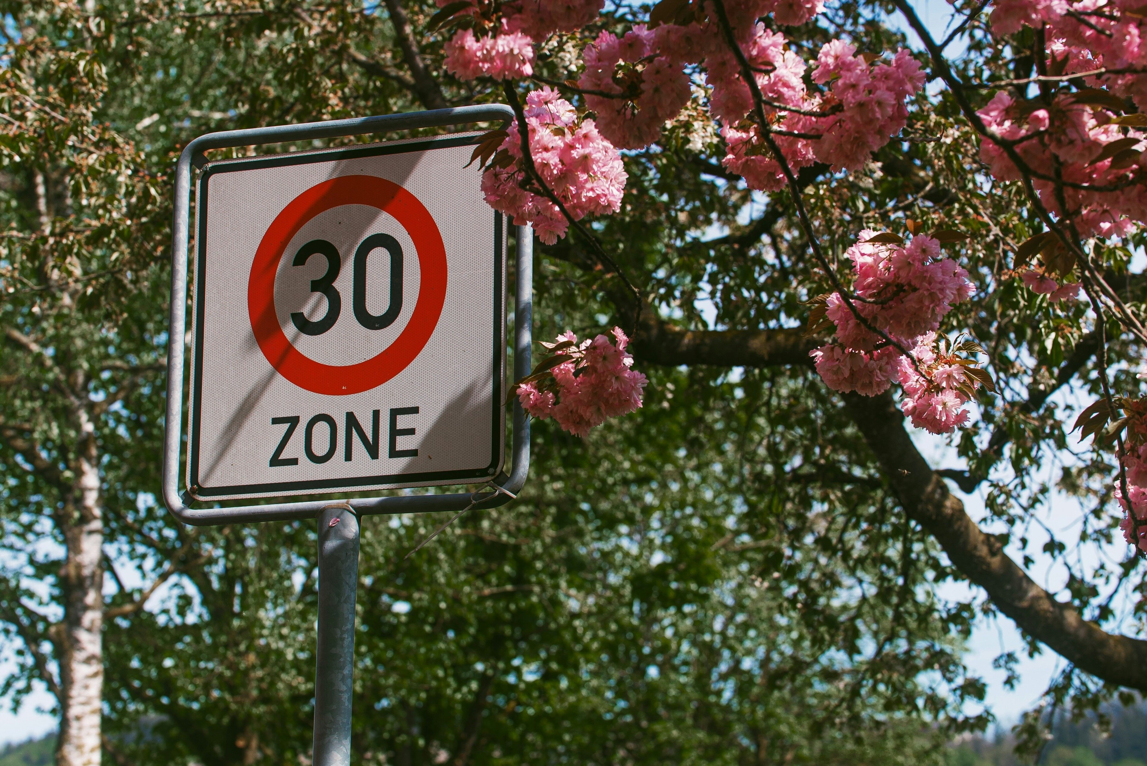 Six Points in the Post: Don’t Ignore a Section 172 Notice